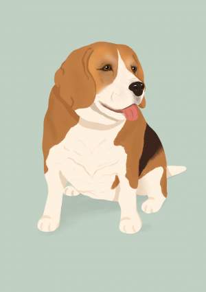 Teddy The Beagle
